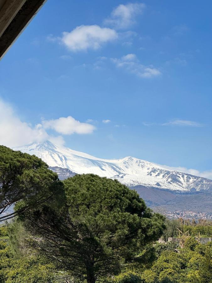 La Pigna Delle Aci Apartment Acireale Dış mekan fotoğraf